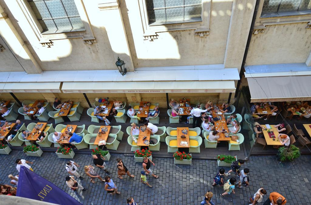 Pension Karlova Praga Quarto foto